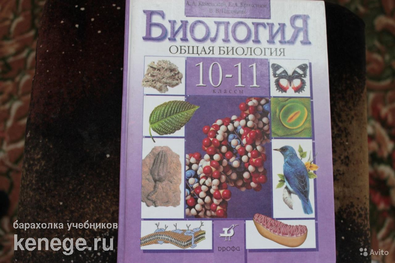 Биология 10 лет. А А Каменский е а Криксунов в в Пасечник общая биология 10-11. Биология общая биология 10-11 класс. Биология 10-11 класс Просвещение. Биология 10-11 класс учебник общая биология.